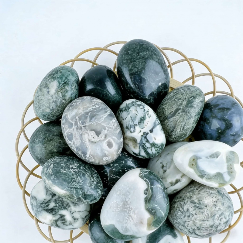 Natural Moss Agate Crushed Sto - Echeveria Succulent บทวิจารณ์และราคา