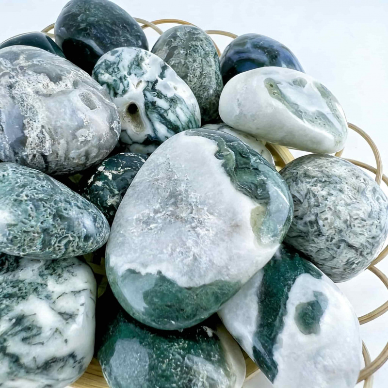 Natural Moss Agate Crushed Sto - Echeveria Succulent บทวิจารณ์และราคา