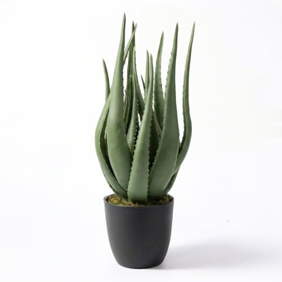 Large Potted Artificial Aloe V - Aloe Vera Pot บทวิจารณ์และราคา