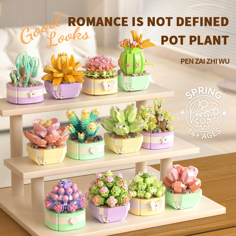 Flower Succulents Building Blo - Echeveria Succulent บทวิจารณ์และราคา
