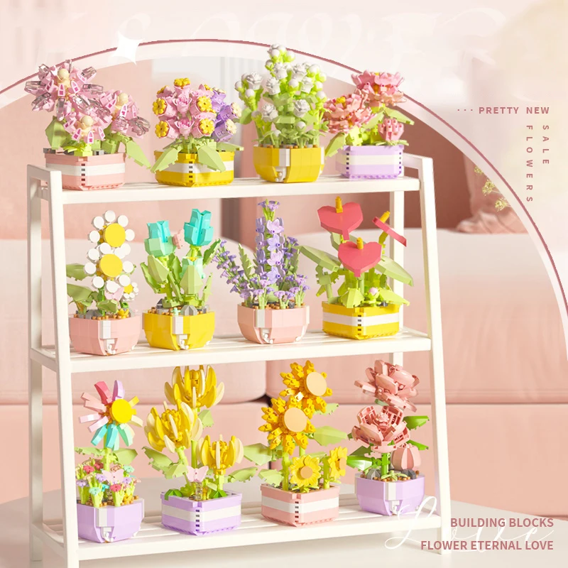 Flower Succulents Building Blo - Echeveria Succulent บทวิจารณ์และราคา