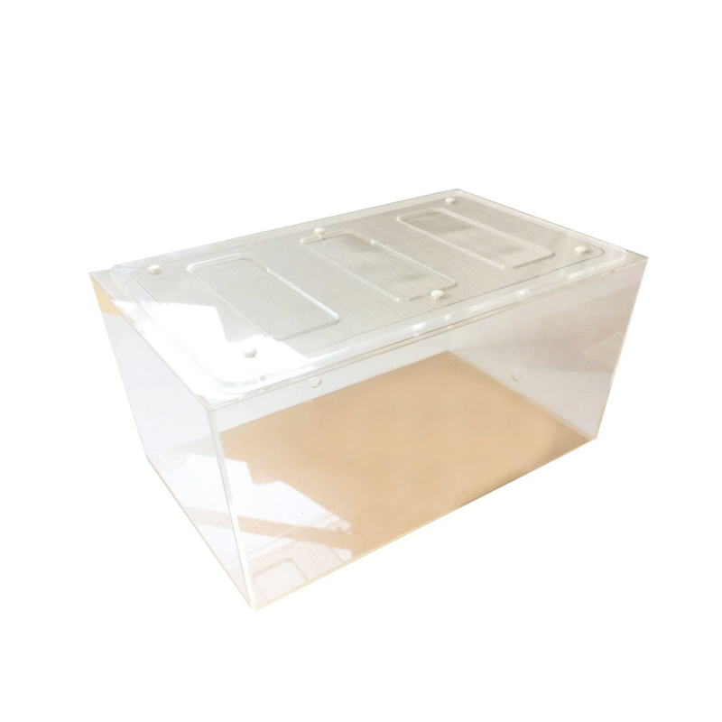 Acrylic Finished Seamless Ant  - Begonia Rex บทวิจารณ์และราคา