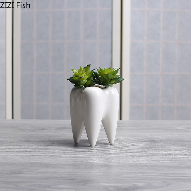 Tooth Shaped Ceramic Flower Po - Echeveria Succulent บทวิจารณ์และราคา