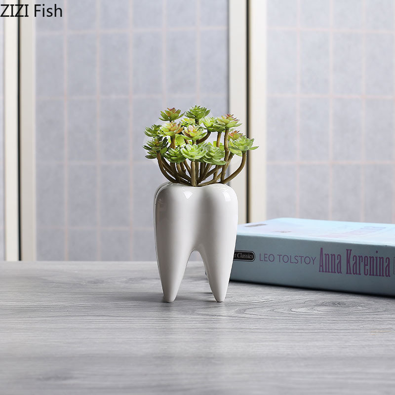Tooth Shaped Ceramic Flower Po - Echeveria Succulent บทวิจารณ์และราคา