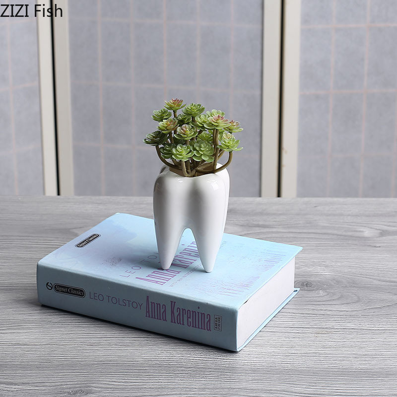 Tooth Shaped Ceramic Flower Po - Echeveria Succulent บทวิจารณ์และราคา