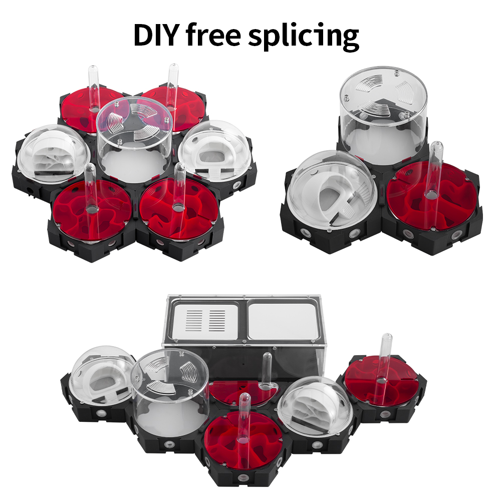 3D Printing Ant Farm Infinitel - Begonia Rex บทวิจารณ์และราคา