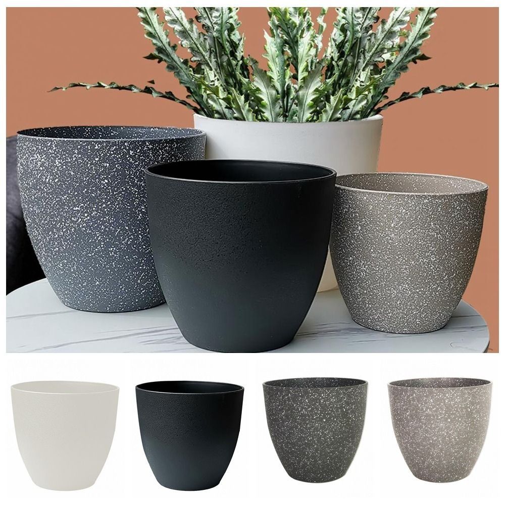 Frosted Imitation Stone Flower - Aloe Vera Pot บทวิจารณ์และราคา