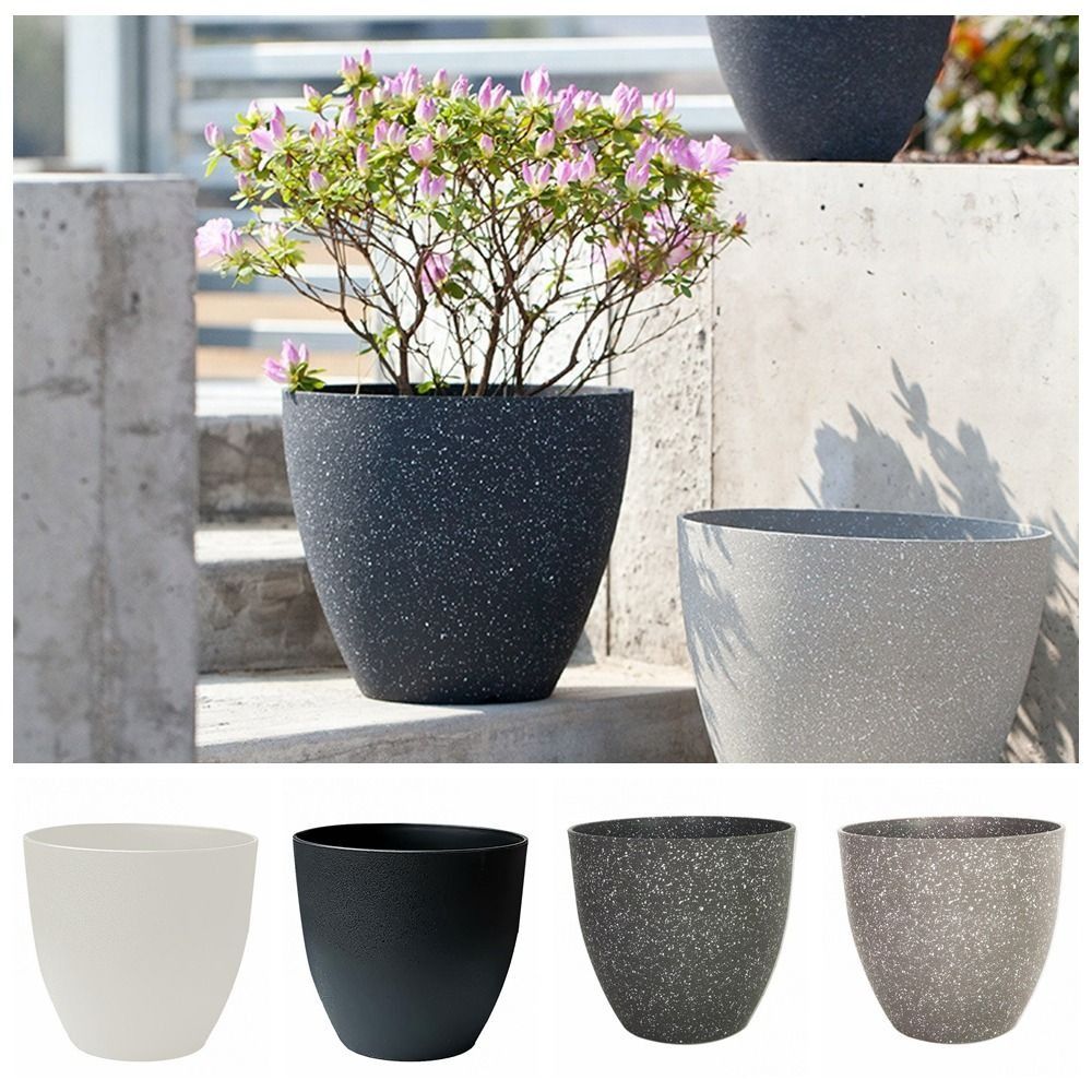 Frosted Imitation Stone Flower - Aloe Vera Pot บทวิจารณ์และราคา