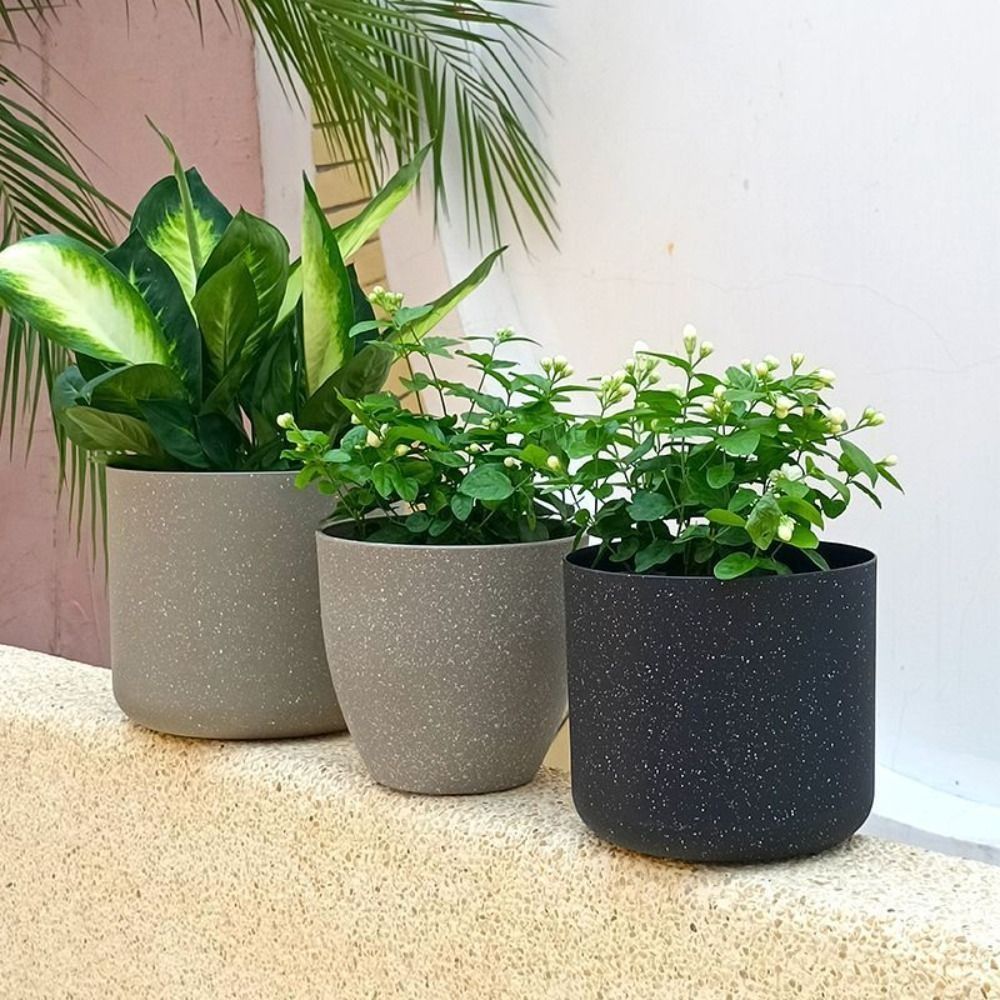 Frosted Imitation Stone Flower - Aloe Vera Pot บทวิจารณ์และราคา