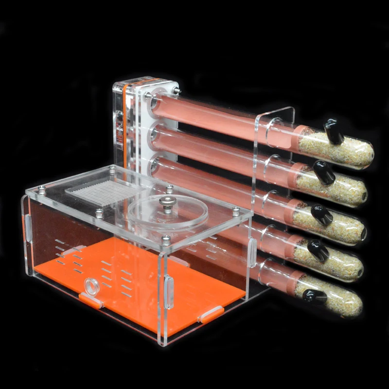 DIY Acrylic Ant Farm 5 pcs 18- - Begonia Rex บทวิจารณ์และราคา
