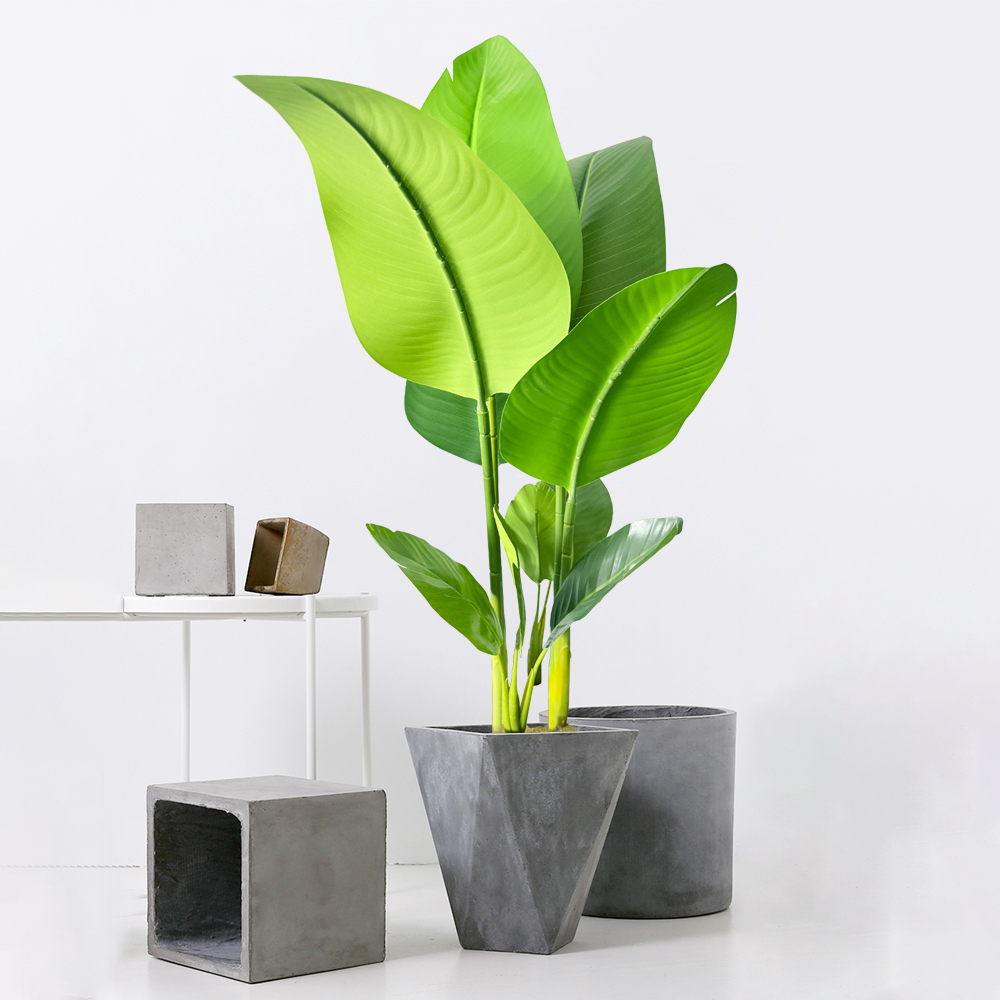 37-77cm Artificial Banana Tree - Dracaena Marginata บทวิจารณ์และราคา