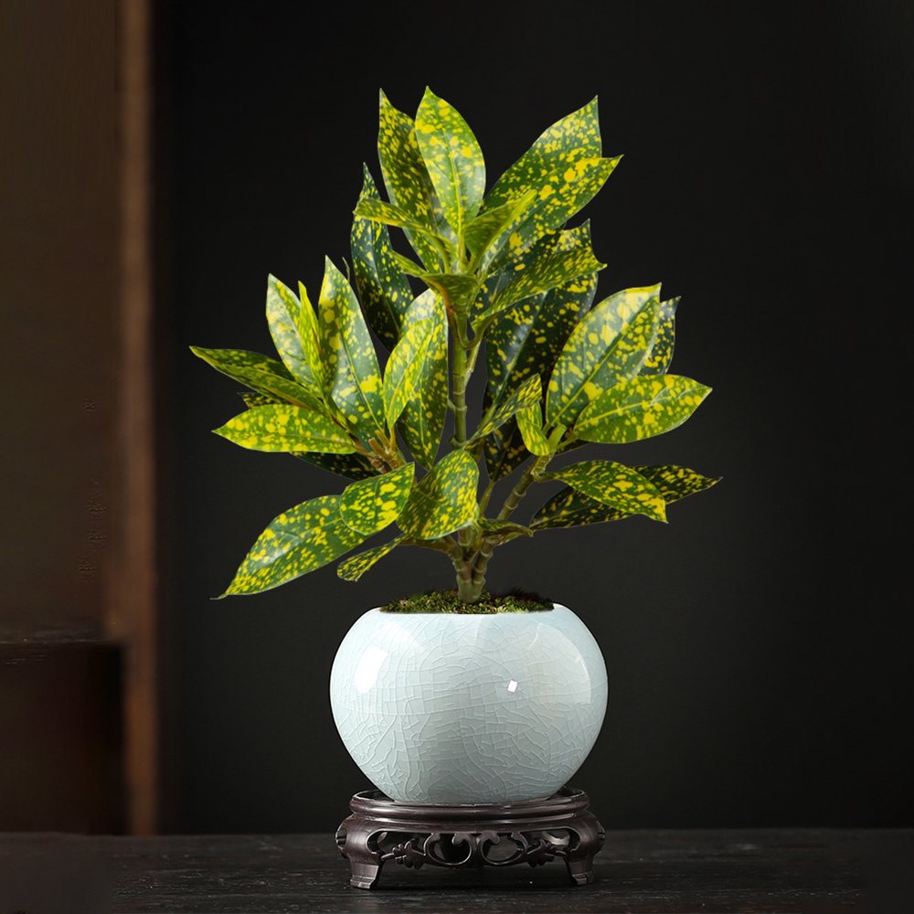 24-41cm Artificial Ficus Tree  - Ficus Lyrata Tree บทวิจารณ์และราคา