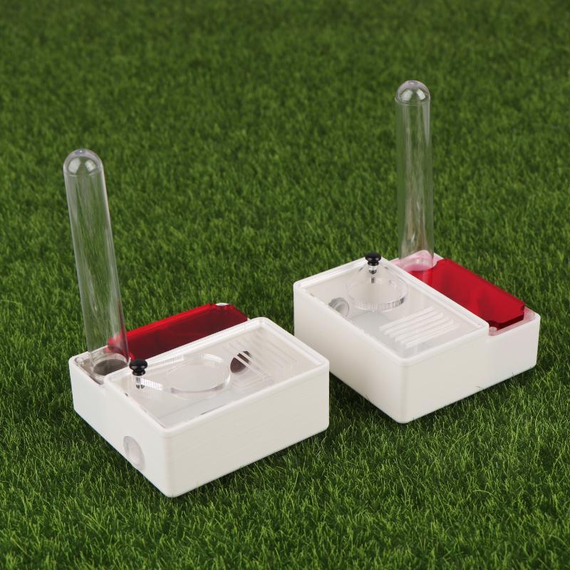 【Peace】3D Printed Ant Farm Que - Begonia Rex บทวิจารณ์และราคา