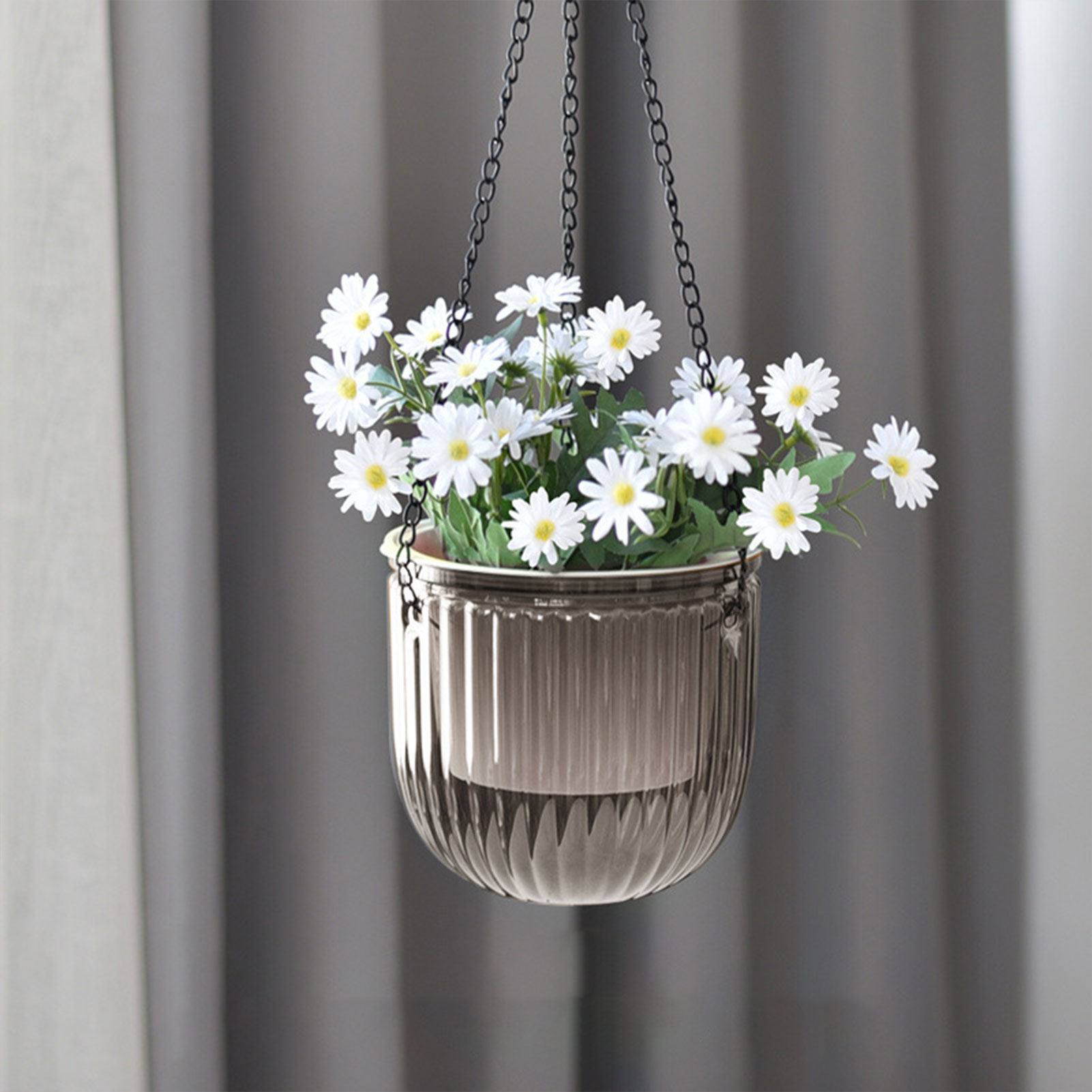 Automatic Self Watering Plant  - Spider Plant Hanging บทวิจารณ์และราคา