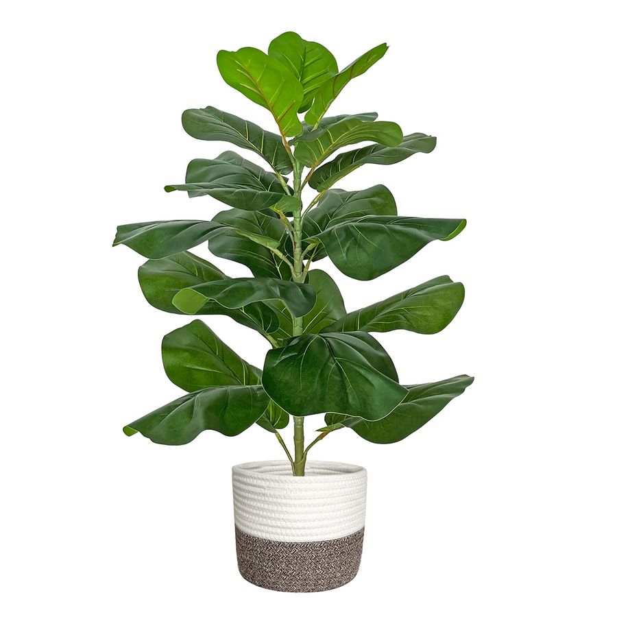 Artificial Fiddle Leaf Fig Tre - Ficus Lyrata Tree บทวิจารณ์และราคา