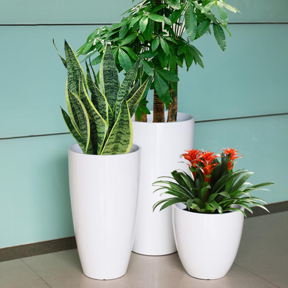 28cm Height Deep Flower Pot Im - Aloe Vera Pot บทวิจารณ์และราคา