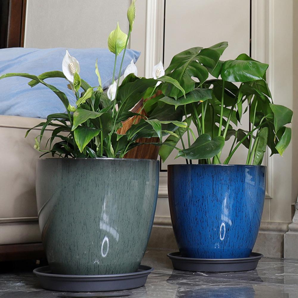 28cm Height Deep Flower Pot Im - Aloe Vera Pot บทวิจารณ์และราคา