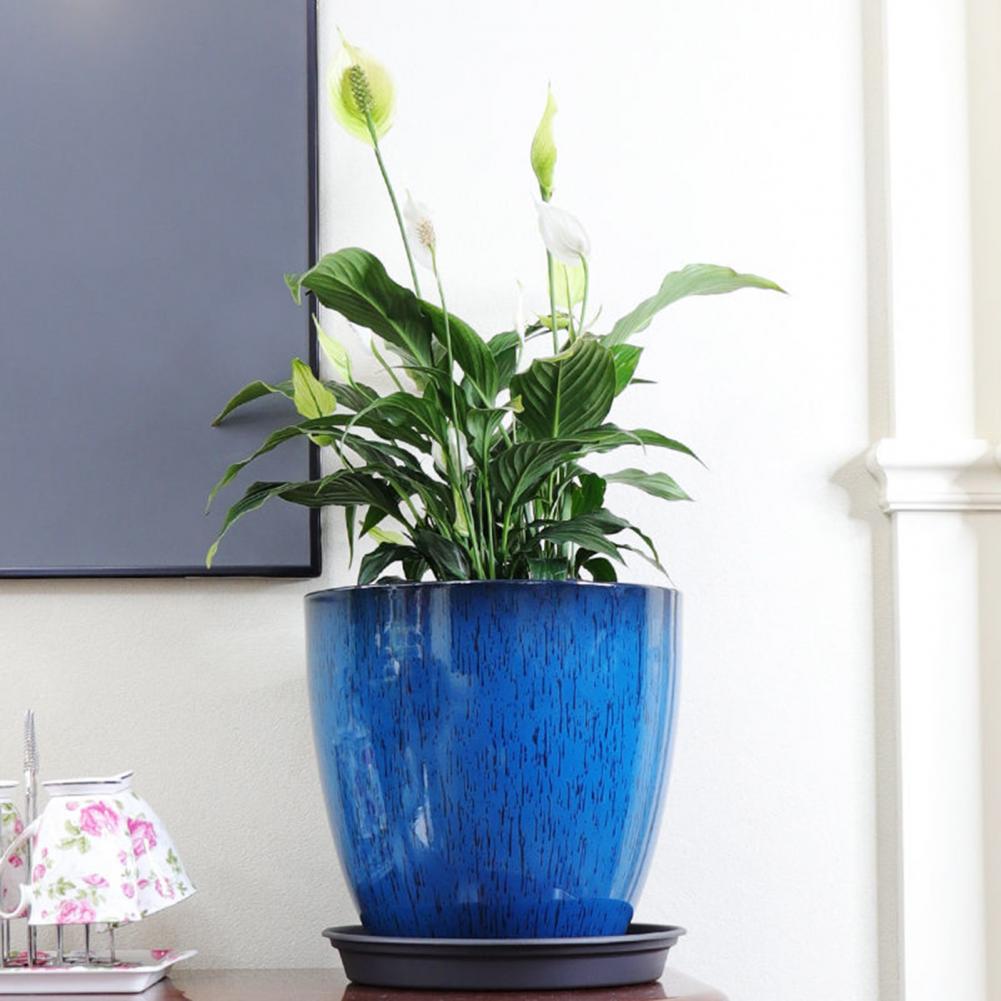 28cm Height Deep Flower Pot Im - Aloe Vera Pot บทวิจารณ์และราคา