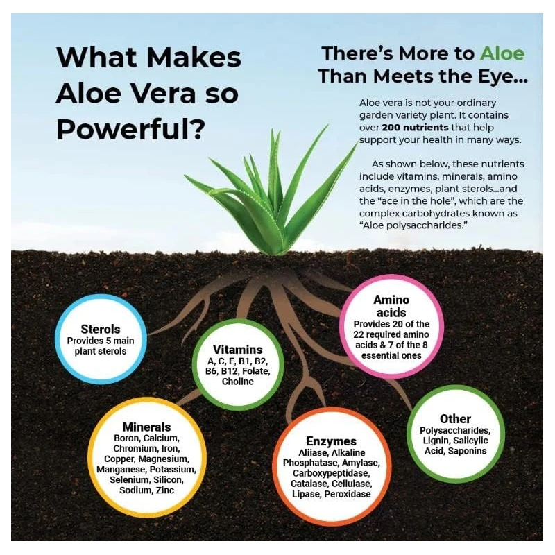Aloe Vera Capsules - Help Prom - Aloe Vera Pot บทวิจารณ์และราคา