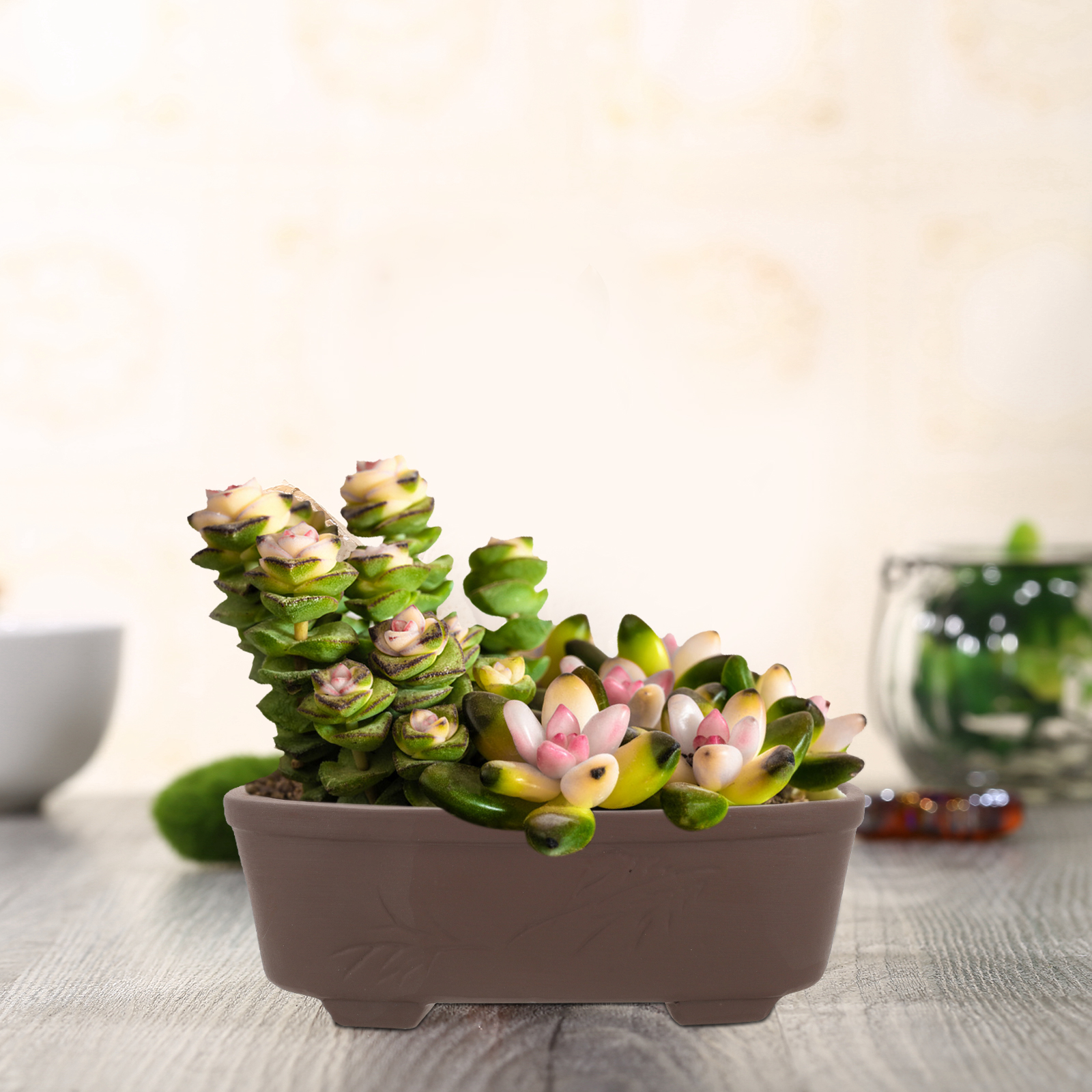 Handmade Vintage Style Clay Te - Pilea Peperomioides บทวิจารณ์และราคา