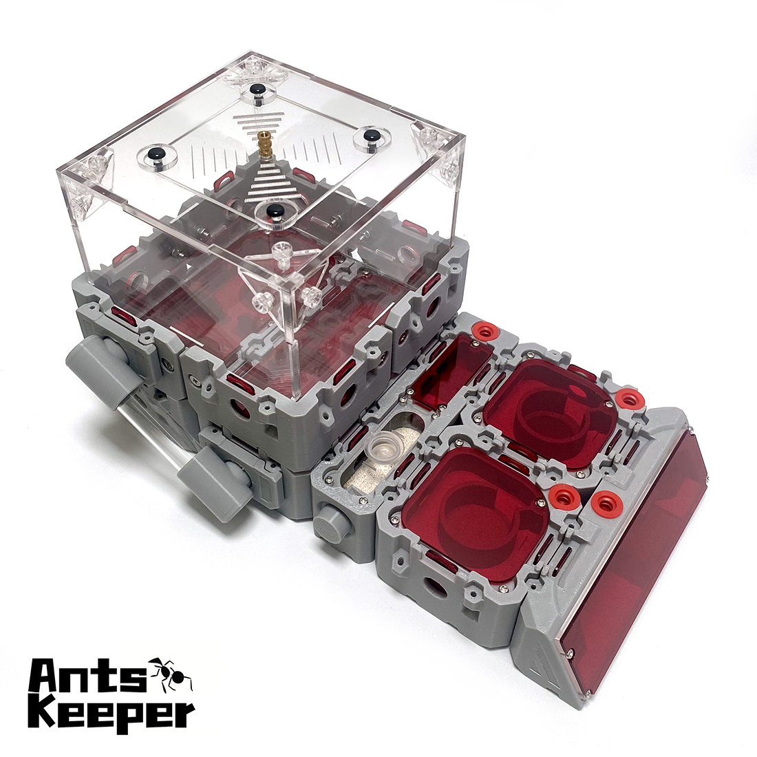 【Lego】Expandable Modular Formi - Begonia Rex บทวิจารณ์และราคา