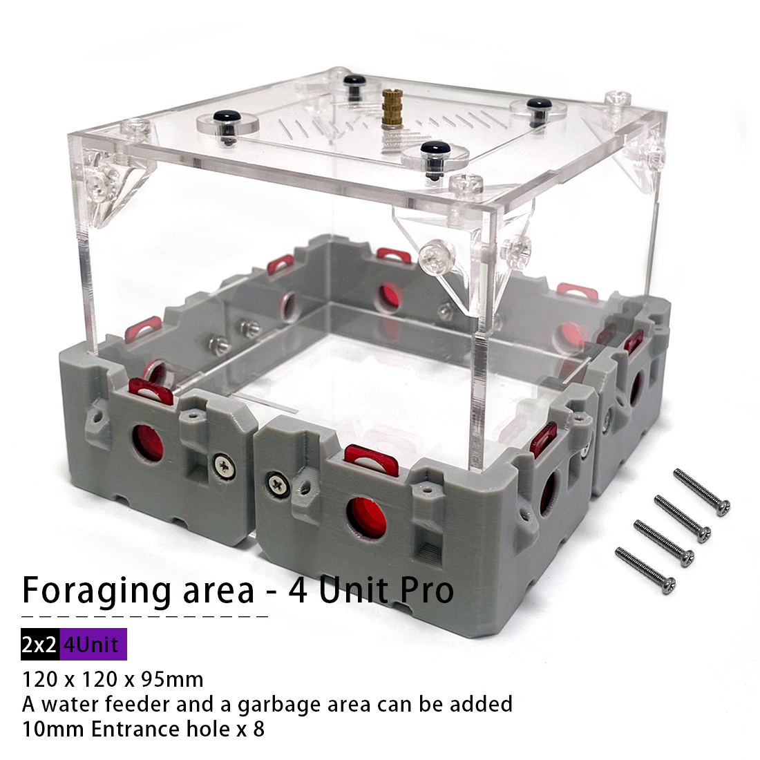 【Lego】Expandable Modular Formi - Begonia Rex บทวิจารณ์และราคา