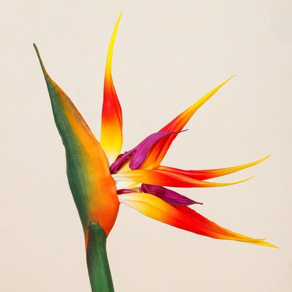 New Long Stem Artificial Bird  - Bird Paradise Strelitzia บทวิจารณ์และราคา