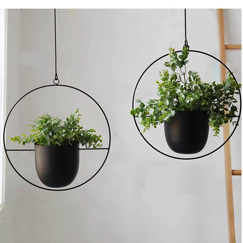 Hanging Iron Art Plant Pots Ba - Spider Plant Hanging บทวิจารณ์และราคา