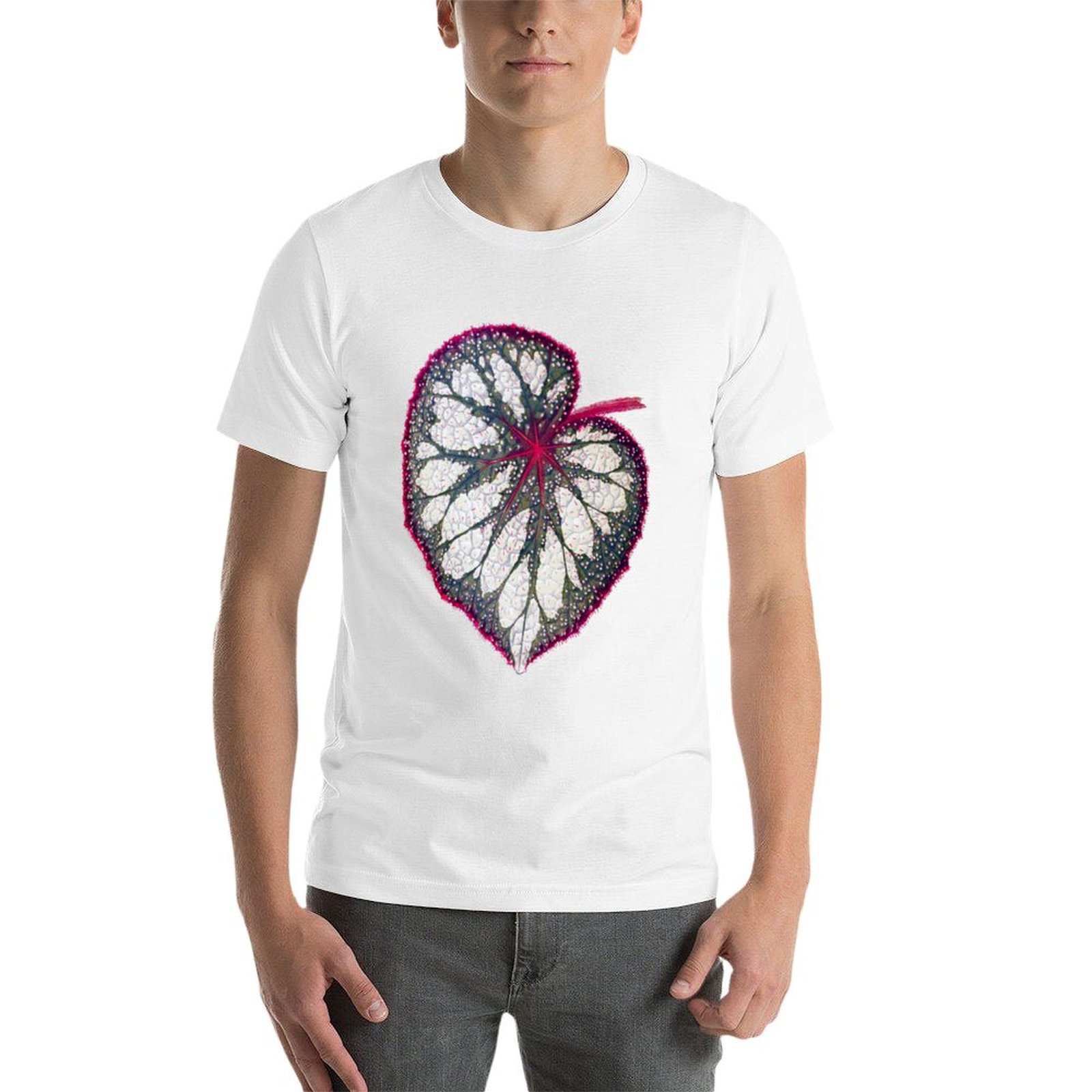 Begonia rex T-Shirt man graphi - Begonia Rex บทวิจารณ์และราคา