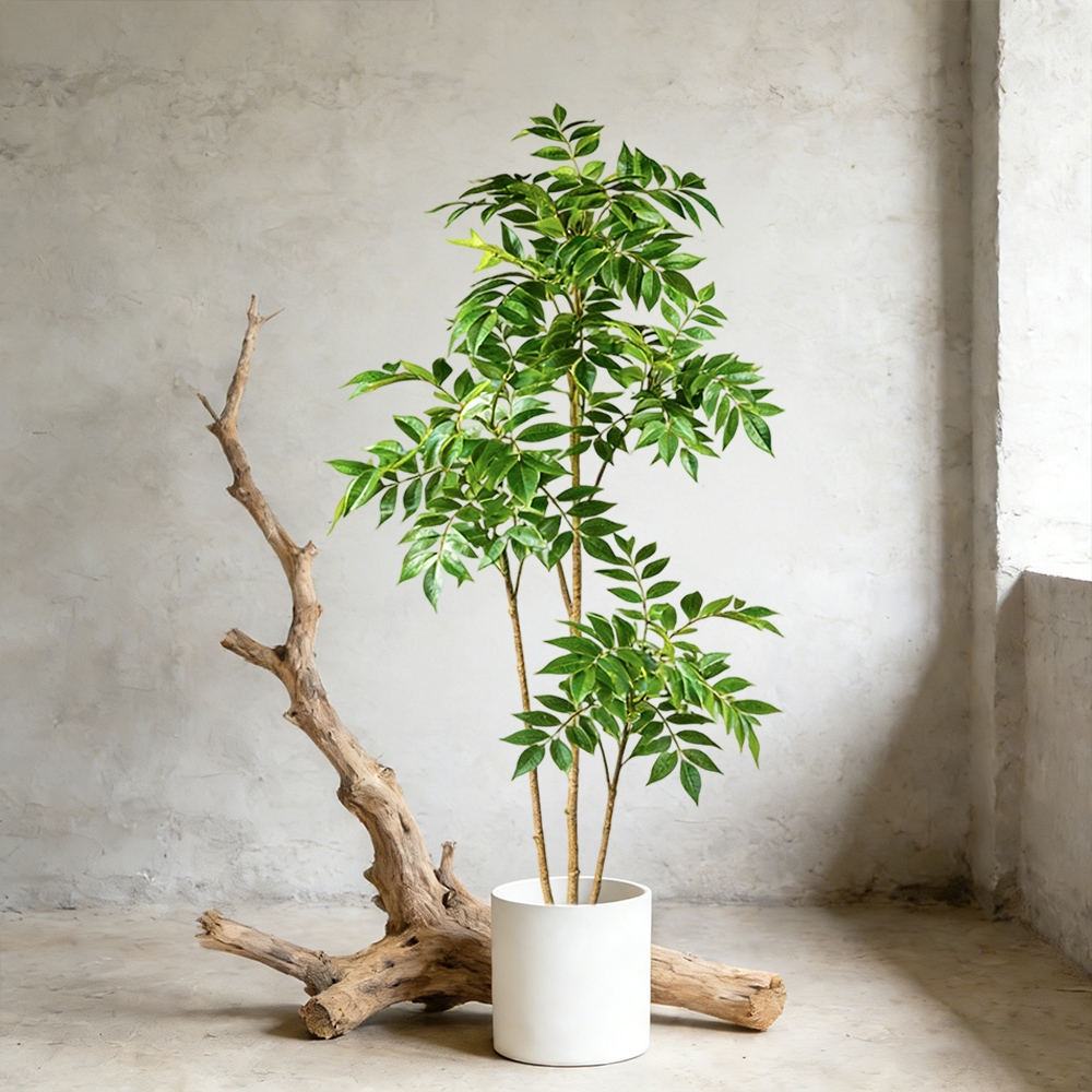 76-140cm Artificial Rubber Tre - Dracaena Marginata บทวิจารณ์และราคา