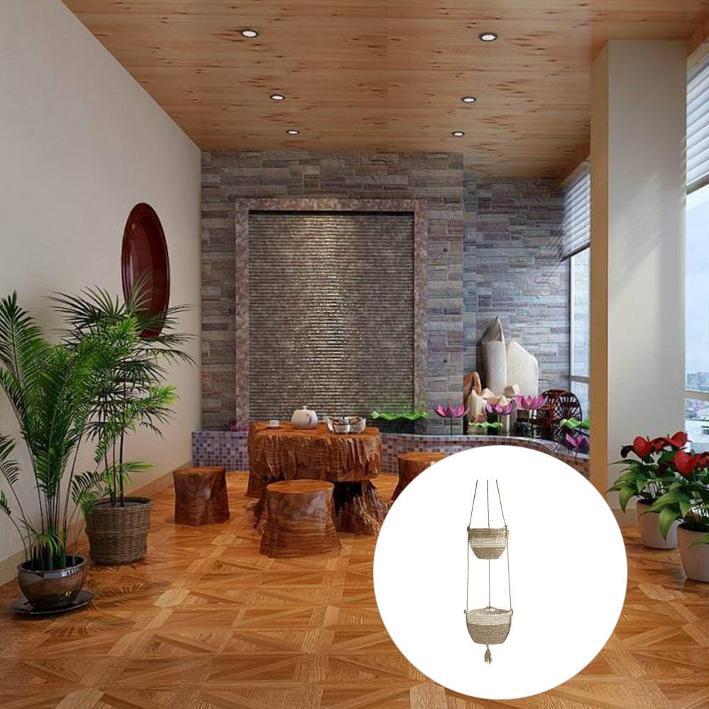 1Set Hanging Spider Plant Pot  - Spider Plant Hanging บทวิจารณ์และราคา