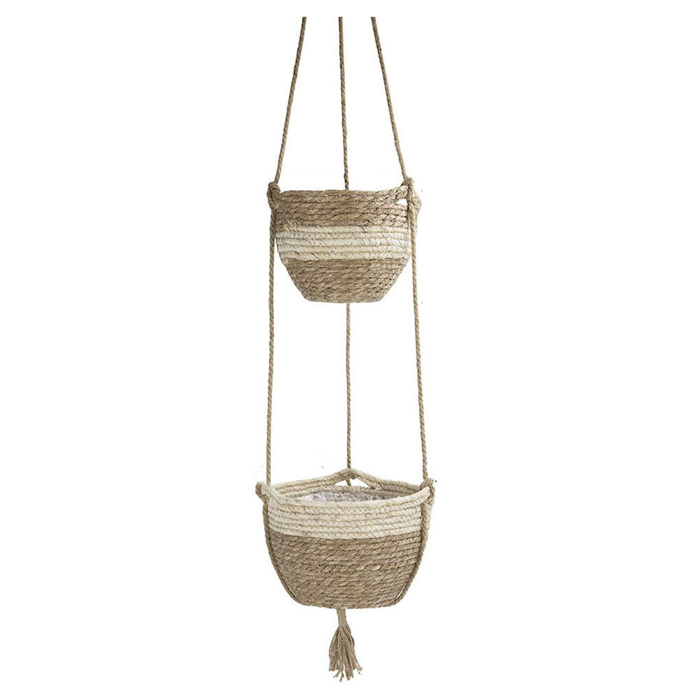 1Set Hanging Spider Plant Pot  - Spider Plant Hanging บทวิจารณ์และราคา