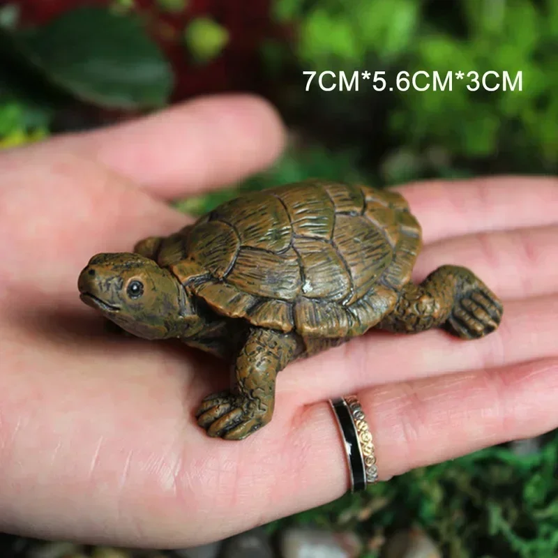 Simulation of Small Turtle Res - Echeveria Succulent บทวิจารณ์และราคา