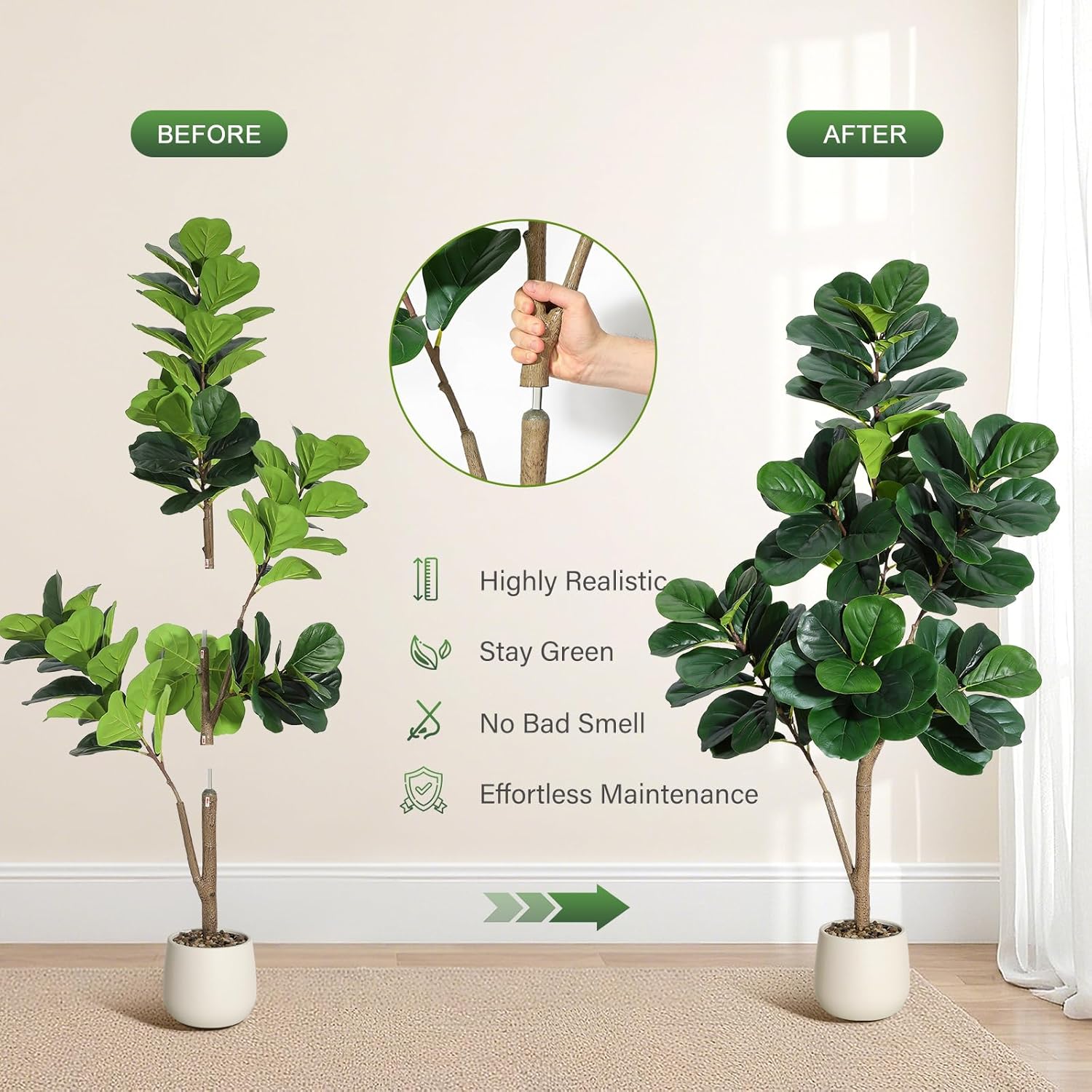 4-7 FT Fiddle Leaf Fig Tree Ar - Ficus Lyrata Tree บทวิจารณ์และราคา