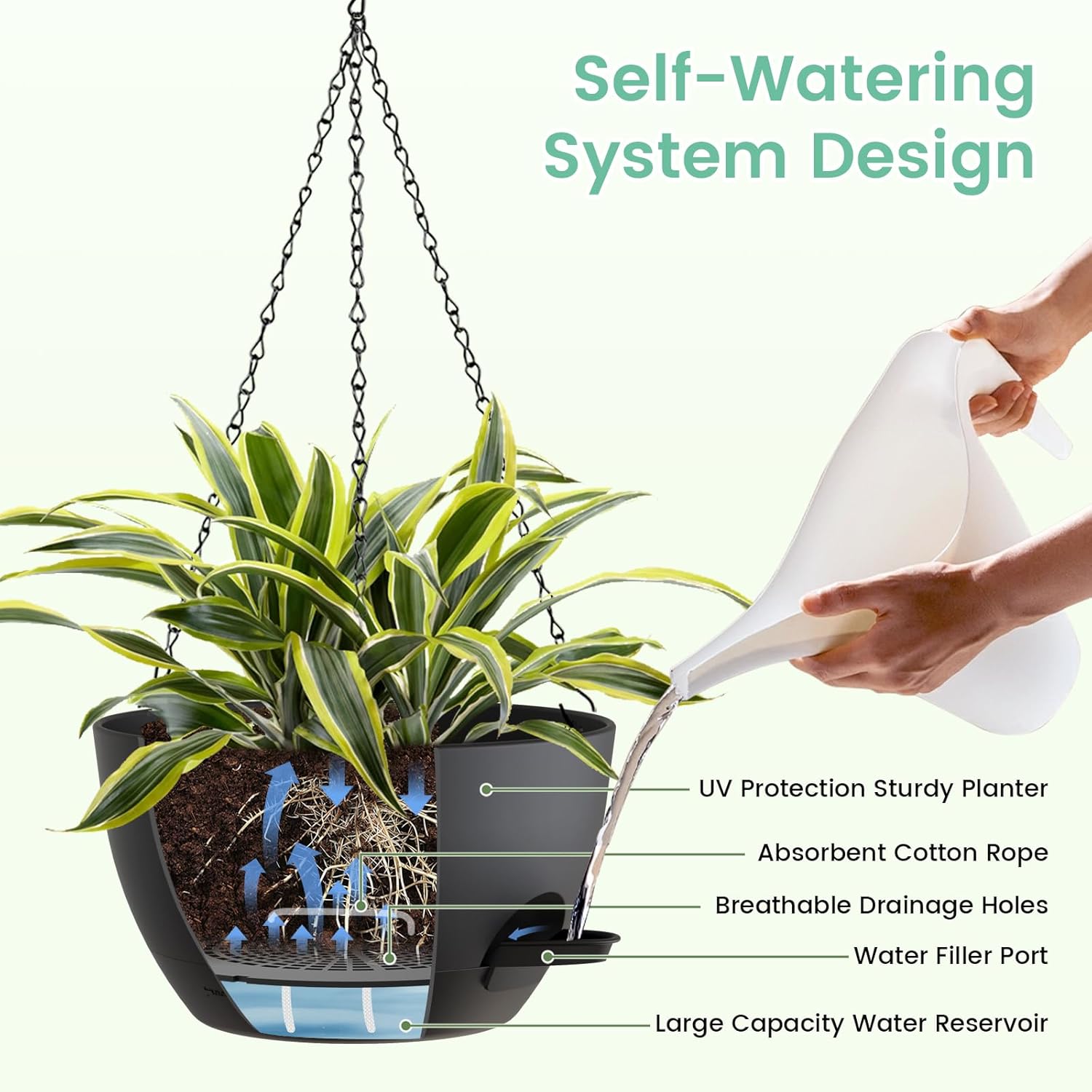 8 Inch Self Watering Hanging P - Spider Plant Hanging บทวิจารณ์และราคา