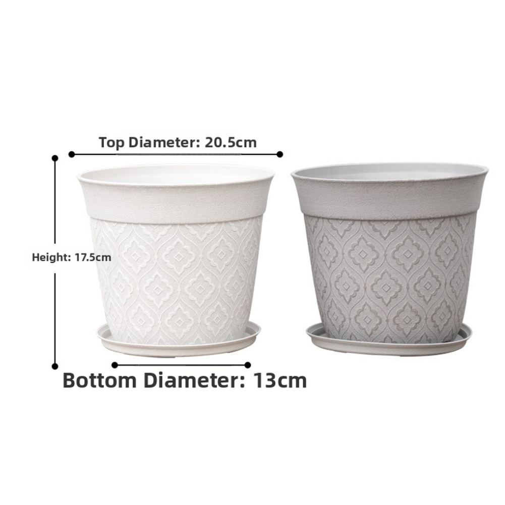 8in Flower Pot With Drainage H - Echeveria Succulent บทวิจารณ์และราคา