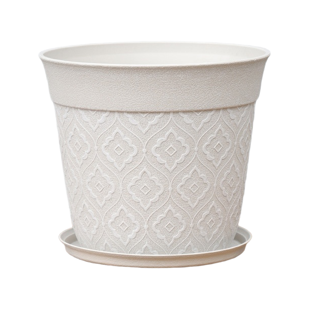 8in Flower Pot With Drainage H - Echeveria Succulent บทวิจารณ์และราคา
