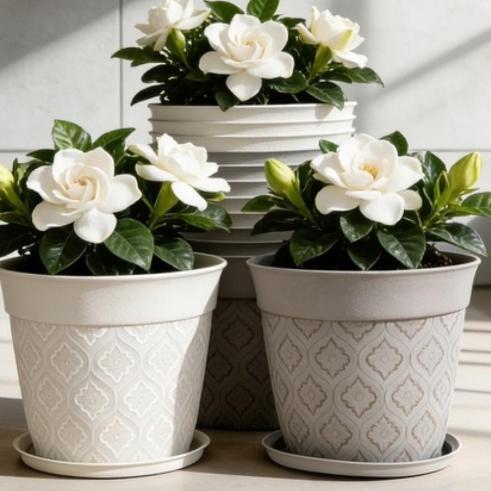 8in Flower Pot With Drainage H - Echeveria Succulent บทวิจารณ์และราคา