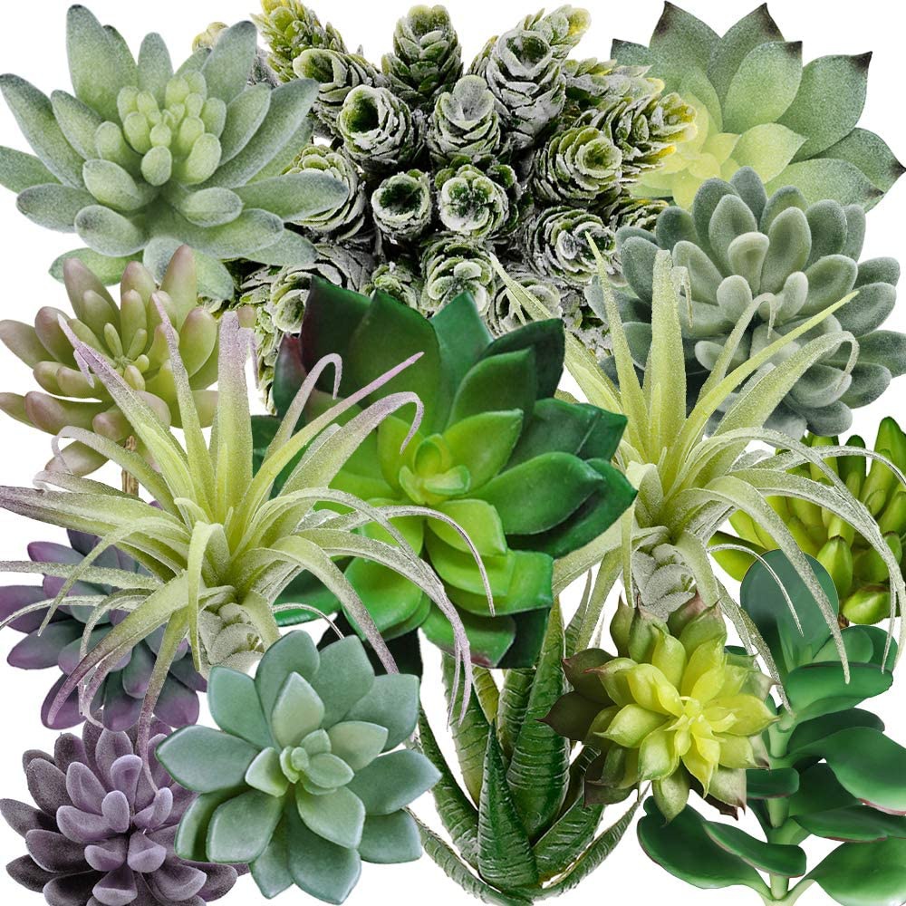 15 Pack Assorted Artificial Su - Echeveria Succulent บทวิจารณ์และราคา