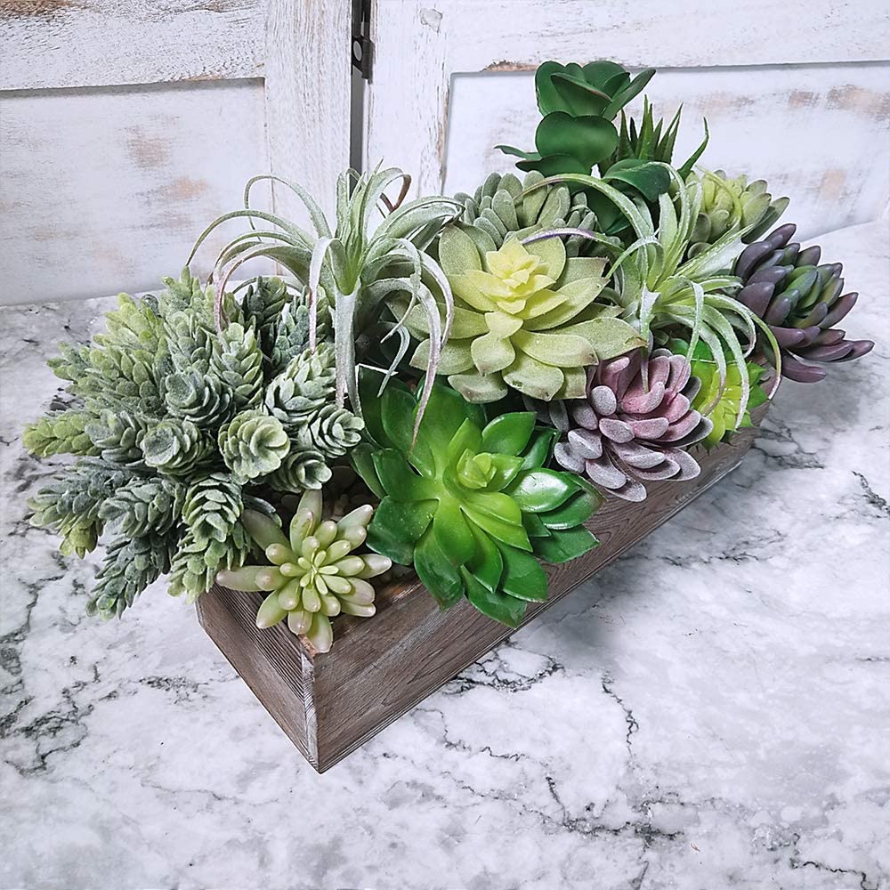 15 Pack Assorted Artificial Su - Echeveria Succulent บทวิจารณ์และราคา