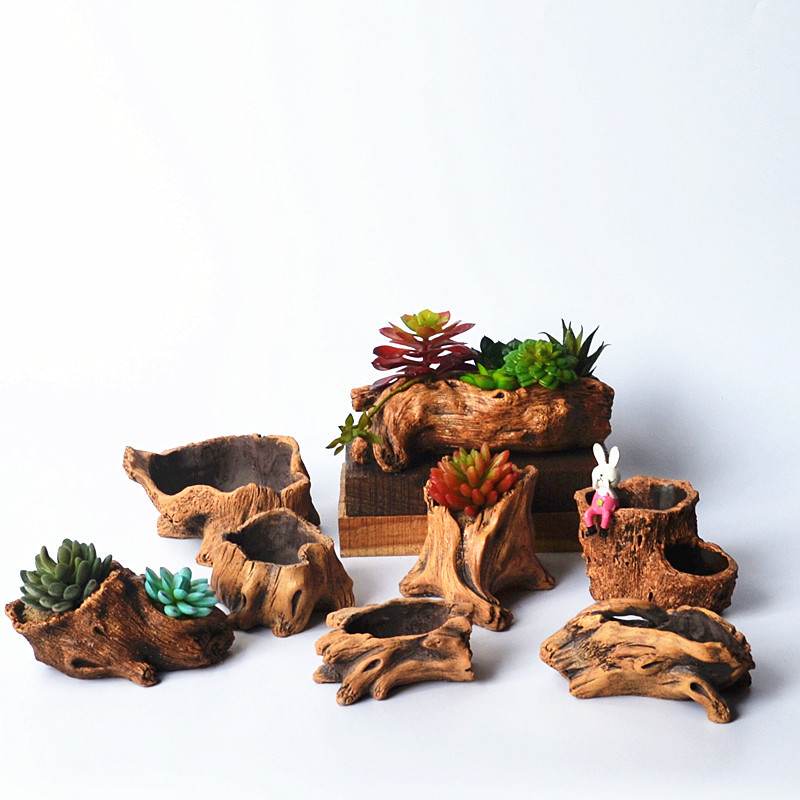 Imitation Wooden Stakes Tree R - Echeveria Succulent บทวิจารณ์และราคา