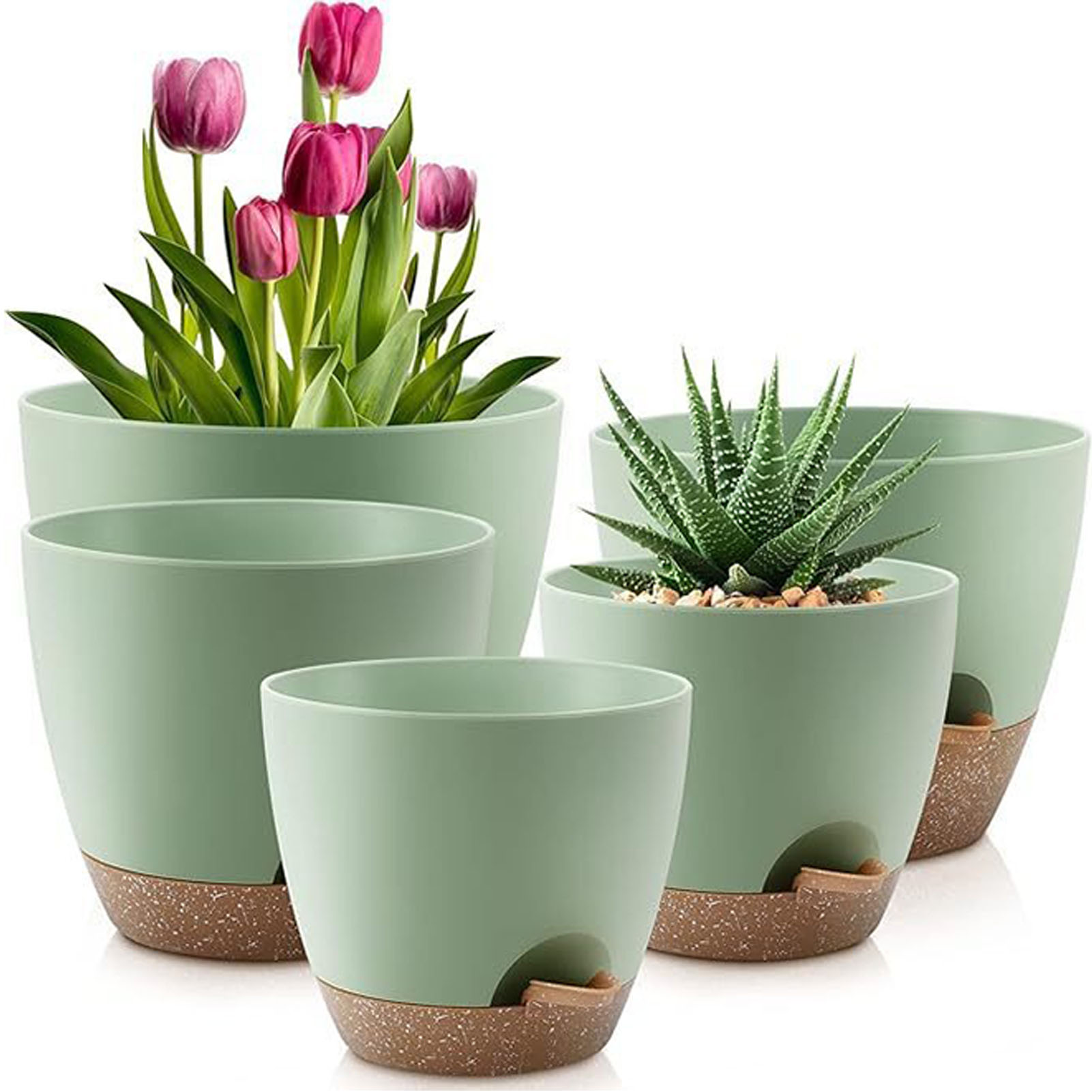 5piece Indoor Flower Pots With - Aloe Vera Pot บทวิจารณ์และราคา