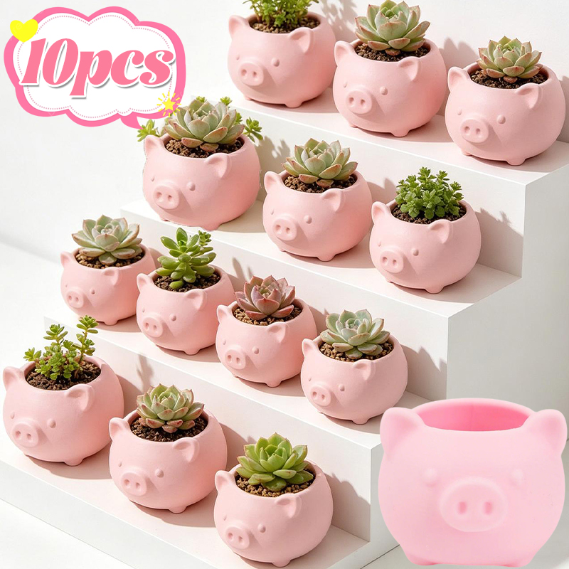 10/1pcs 3D Printed Creative Pi - Echeveria Succulent บทวิจารณ์และราคา
