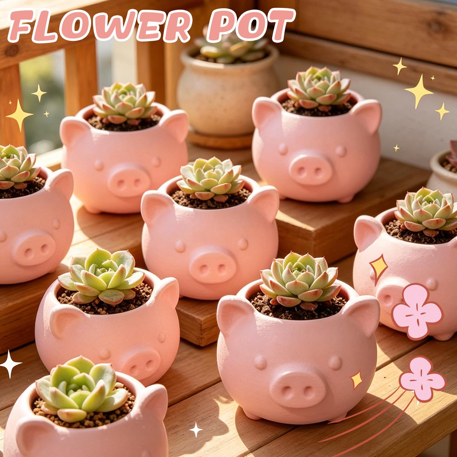 10/1pcs 3D Printed Creative Pi - Echeveria Succulent บทวิจารณ์และราคา