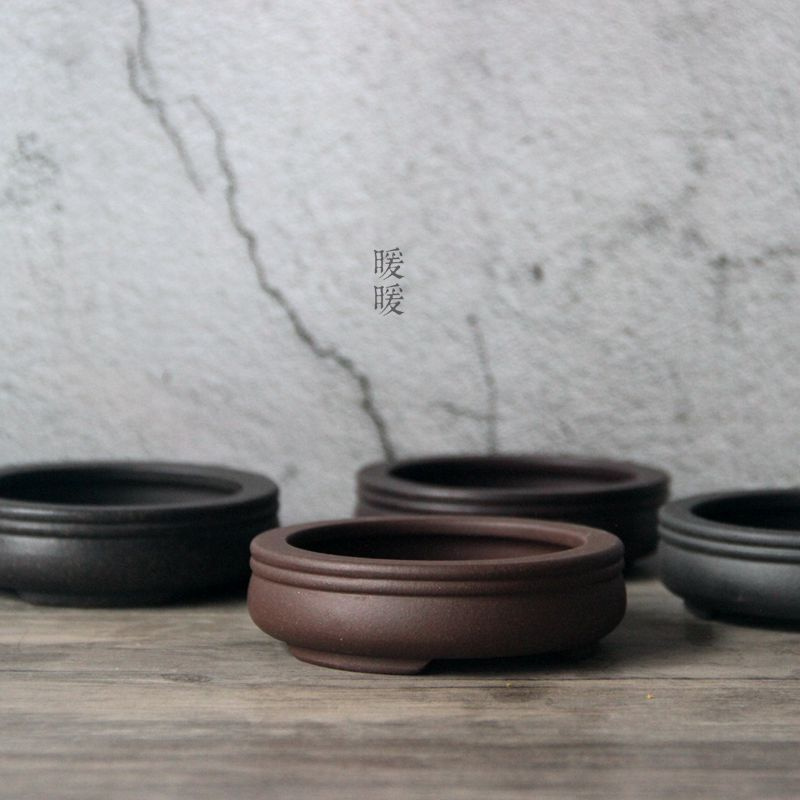Ceramic Circle Bonsai Pot,Plat - Pilea Peperomioides บทวิจารณ์และราคา