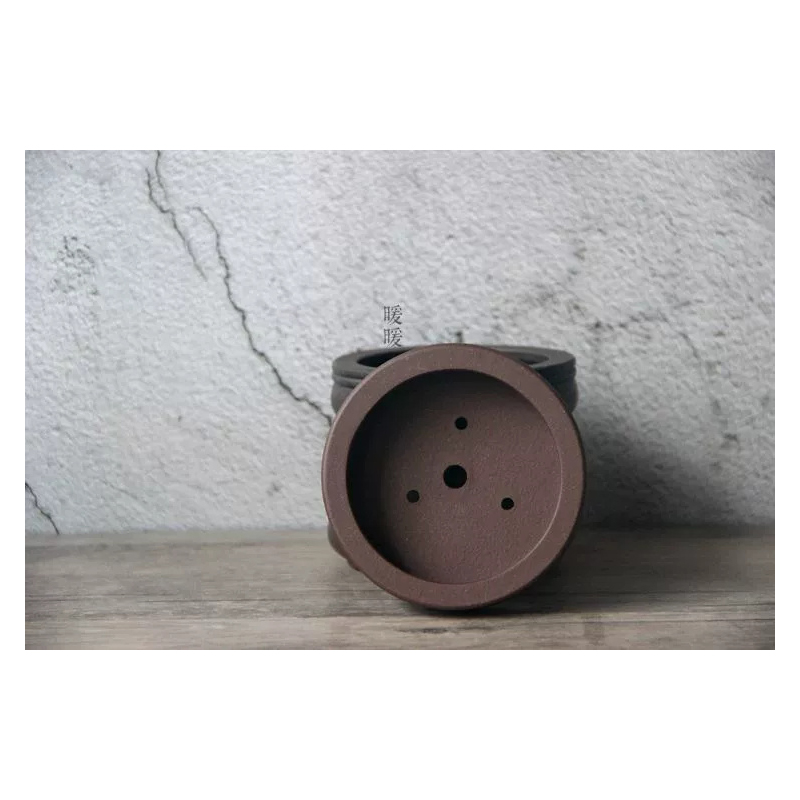 Ceramic Circle Bonsai Pot,Plat - Pilea Peperomioides บทวิจารณ์และราคา