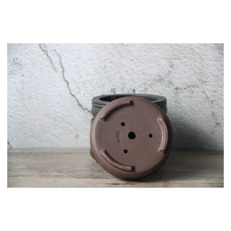 Ceramic Circle Bonsai Pot,Plat - Pilea Peperomioides บทวิจารณ์และราคา