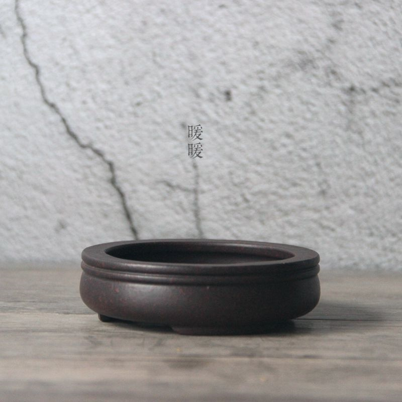 Ceramic Circle Bonsai Pot,Plat - Pilea Peperomioides บทวิจารณ์และราคา