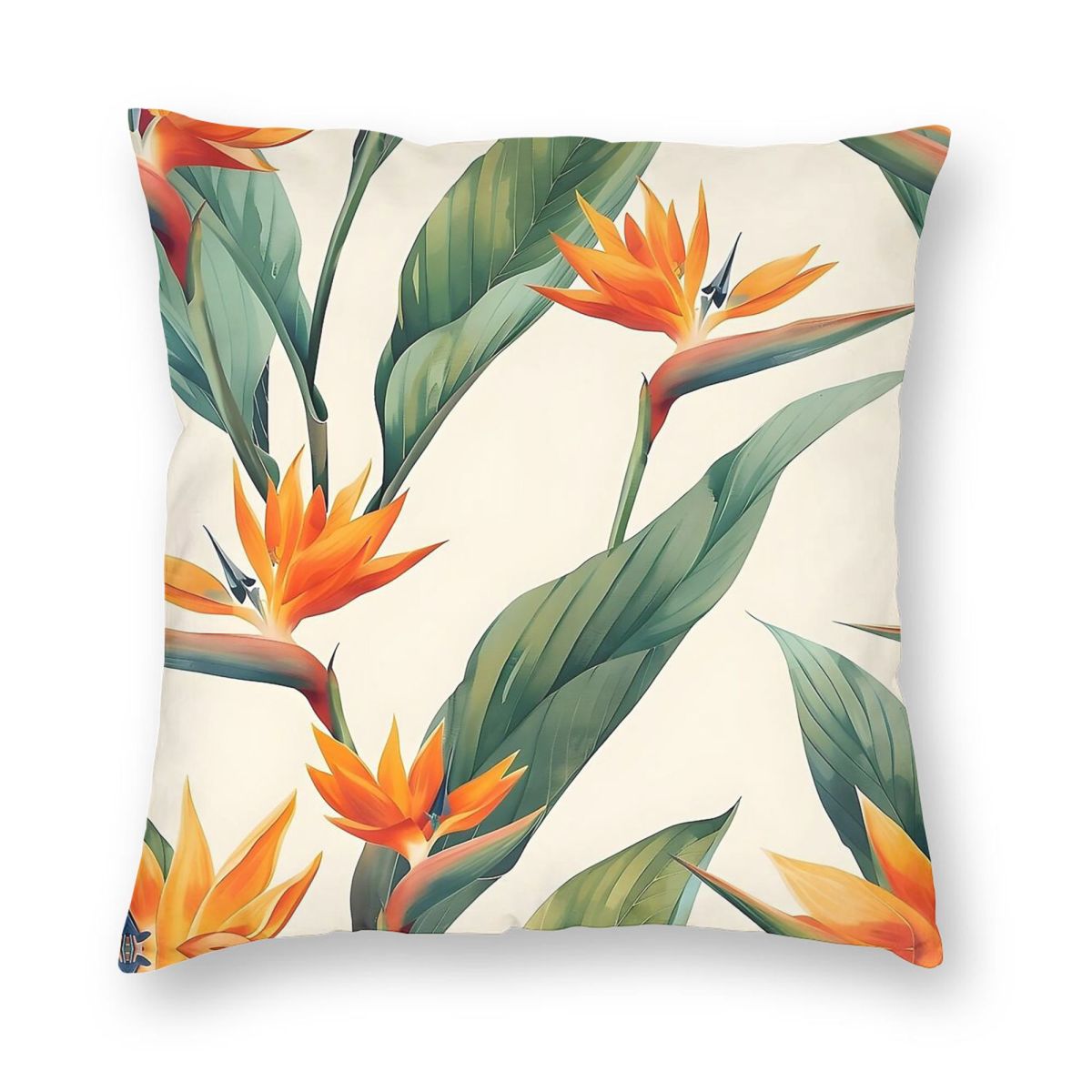 Bird Of Paradise Strelitzia Sq - Bird Paradise Strelitzia บทวิจารณ์และราคา