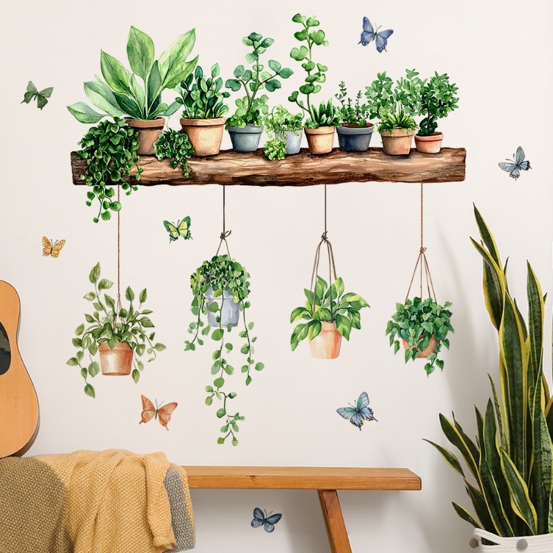 3D Potted Green Plant Shelf Wa - Echeveria Succulent บทวิจารณ์และราคา